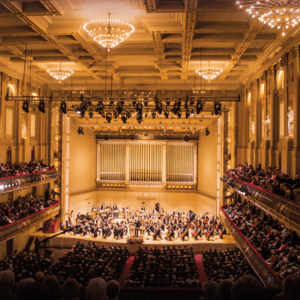 Square image for case studies_BSO (4)-1